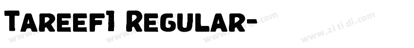 Tareef1 Regular字体转换